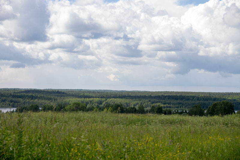 W_8428.jpg