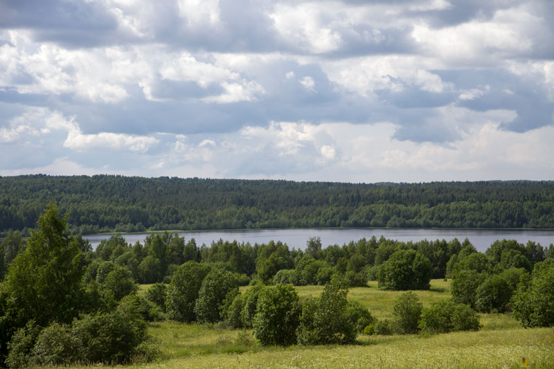 W_8429.jpg