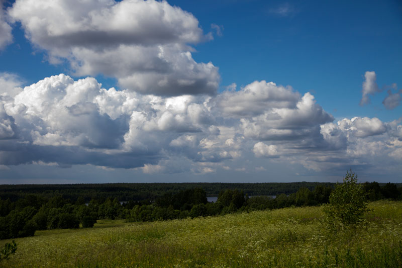 W_8430.jpg