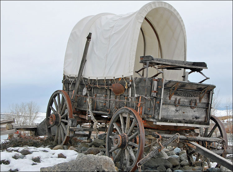 wagon.jpg