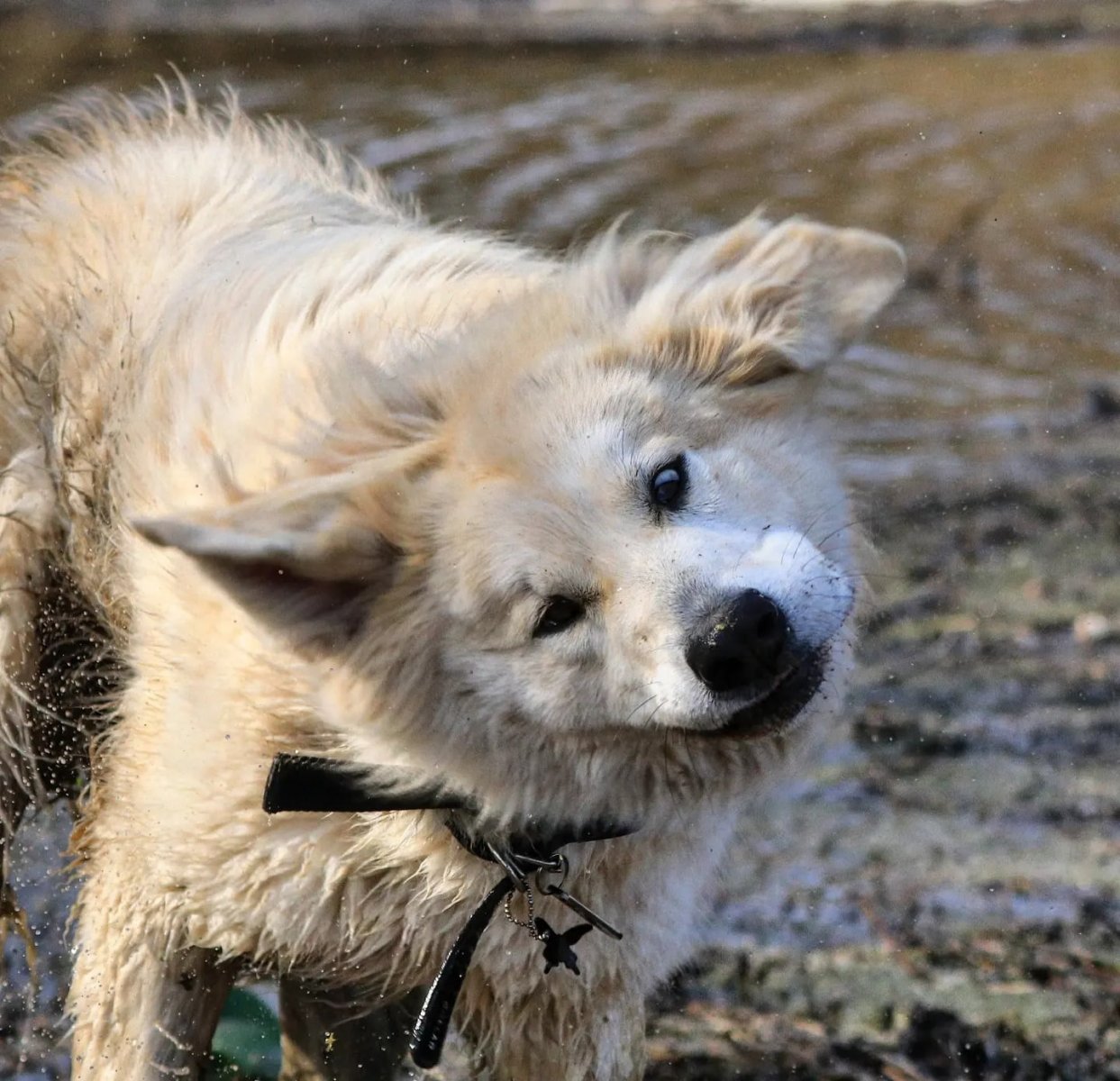 WbgidaiiiwI.jpg