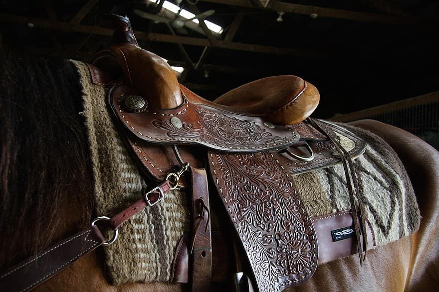 western-saddle-ride-stall-horse-cowgirl-cowboy-usa.jpeg