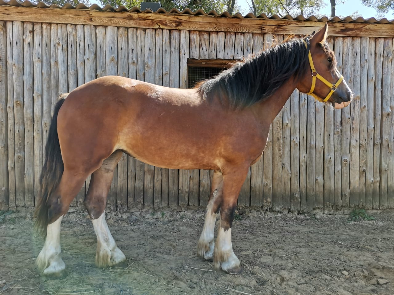 WhatsApp Image 2019-08-15 at 11.01.27(1).jpeg