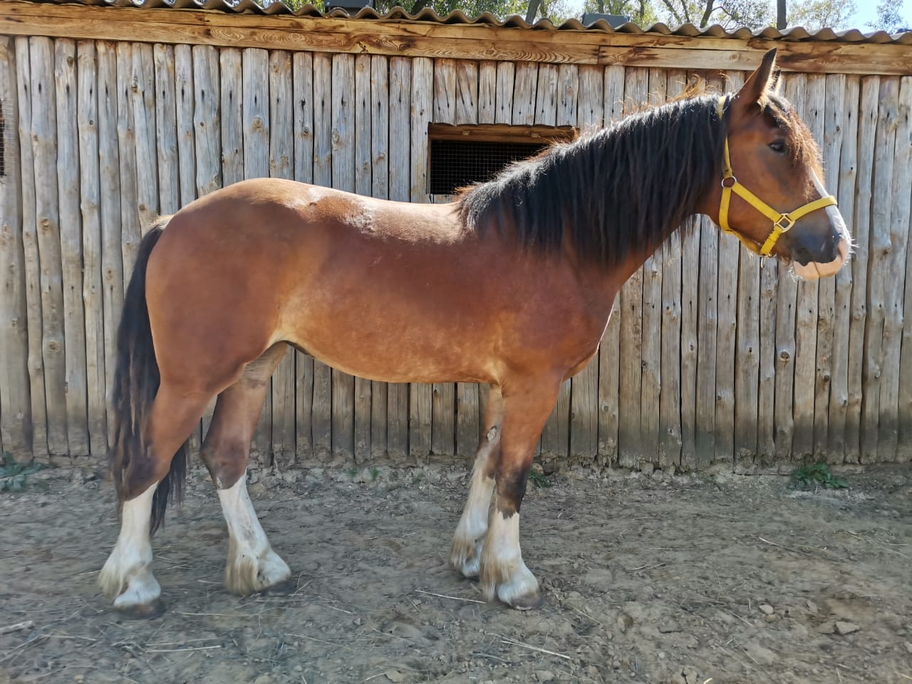 WhatsApp Image 2019-08-15 at 11.01.28(1).jpeg