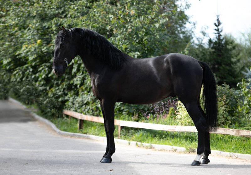 WhatsApp Image 2020-12-20 at 15.17.09.jpeg