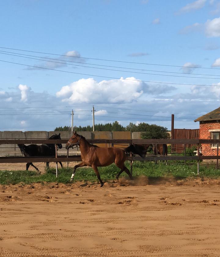 WhatsApp Image 2021-05-19 at 23.12.56.jpeg