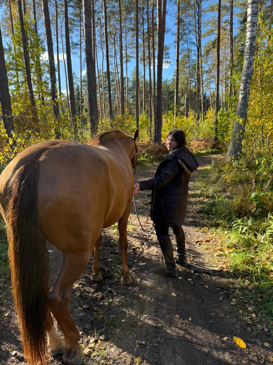 WhatsApp Image 2025-10-18 at 15.13.57 (1).jpeg