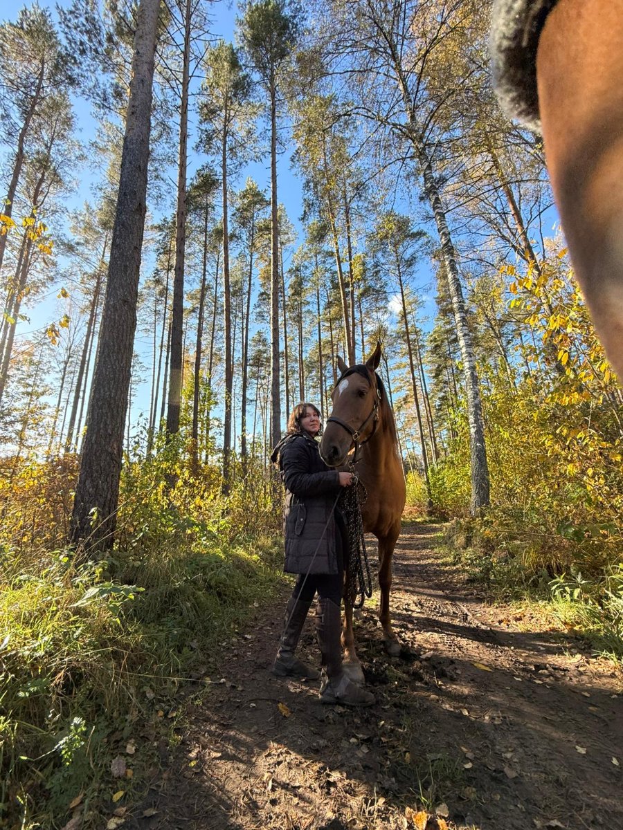 WhatsApp Image 2025-10-18 at 15.13.58 (2).jpeg