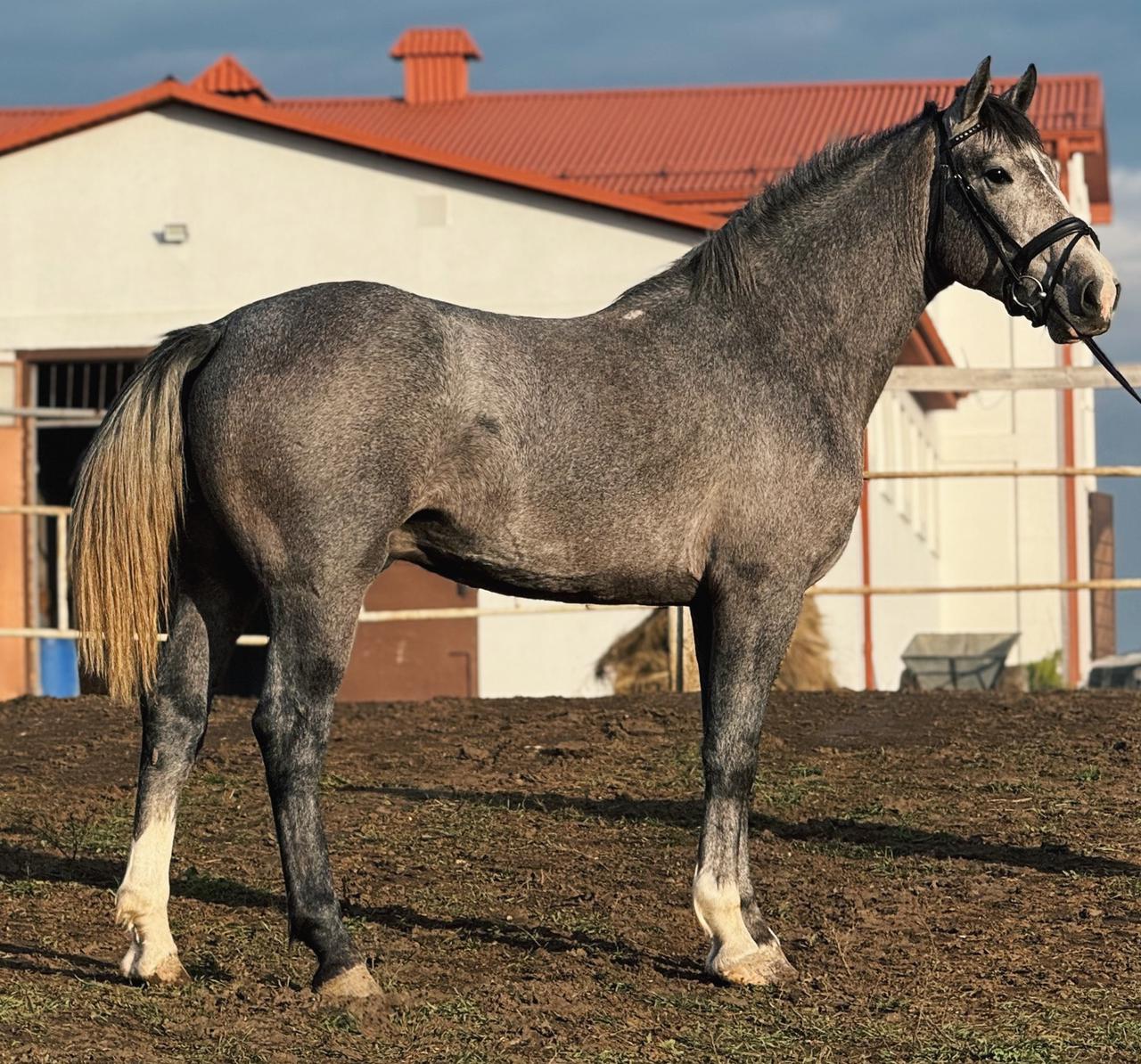 WhatsApp Image 2025-10-27 at 21.05.26.jpeg