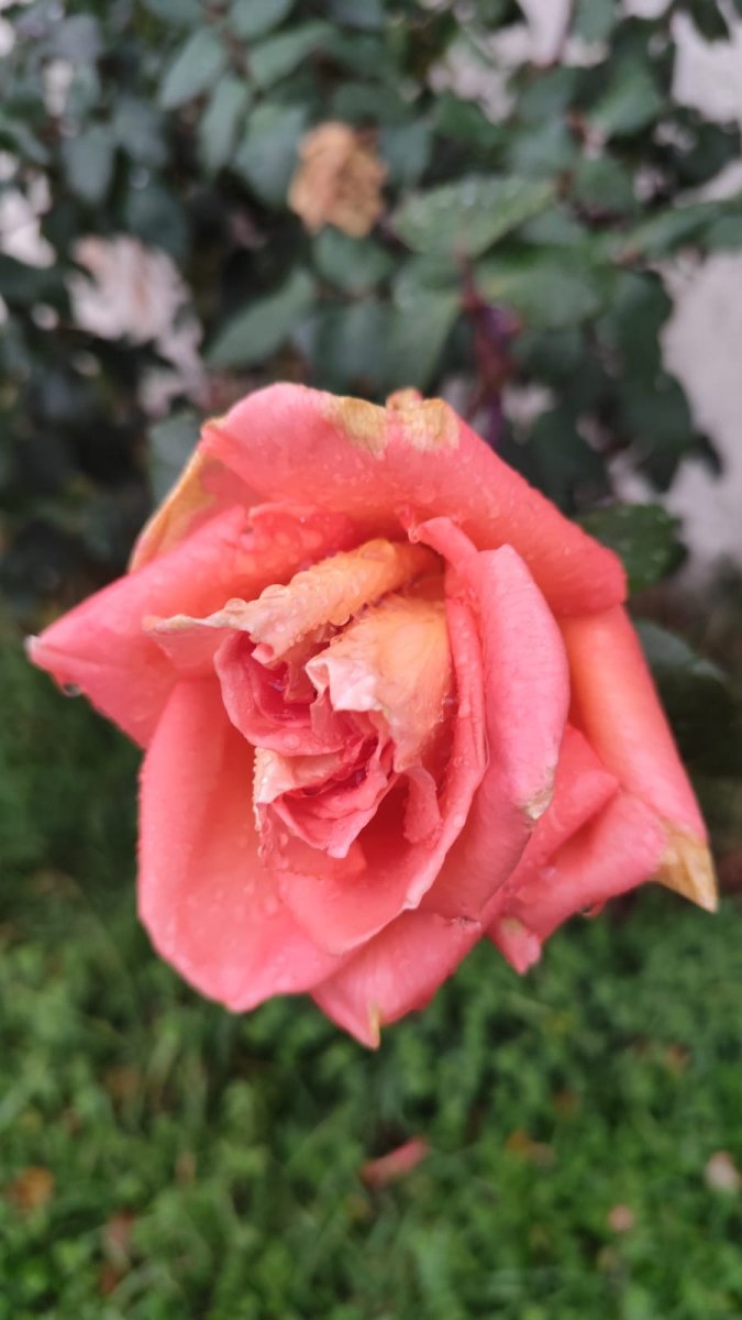 WhatsApp Image 2025-11-06 at 09.06.40.jpeg