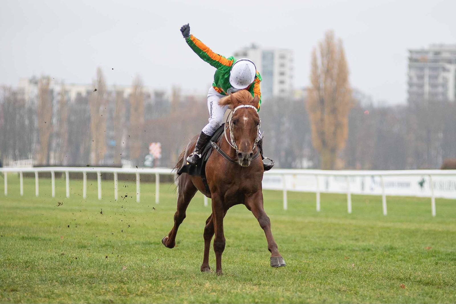 WhatsApp Image 2025-11-10 at 15.33.24.jpeg