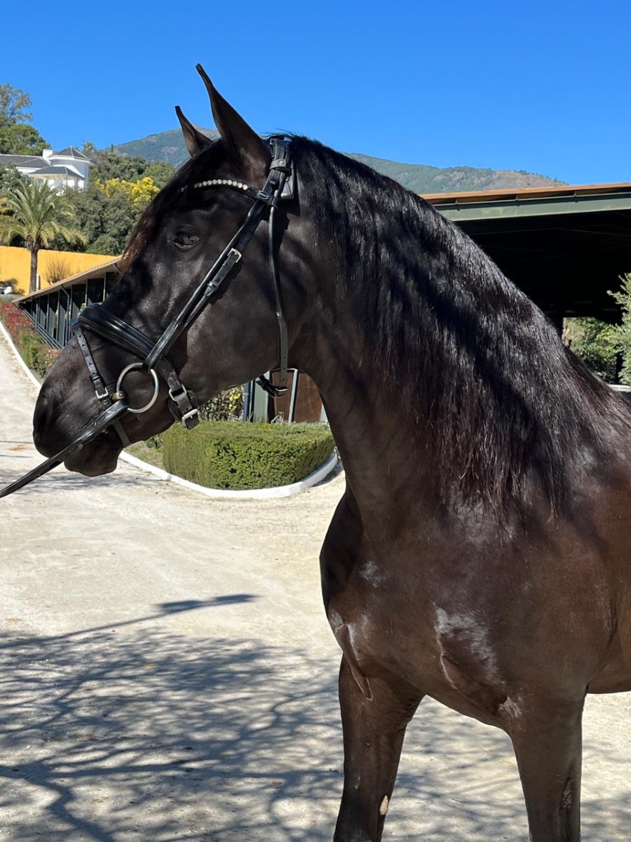 WhatsApp Image 2026-03-21 at 20.59.35.jpeg