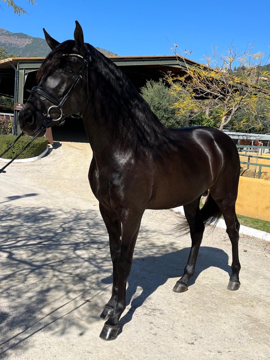 WhatsApp Image 2026-03-21 at 21.00.28.jpeg