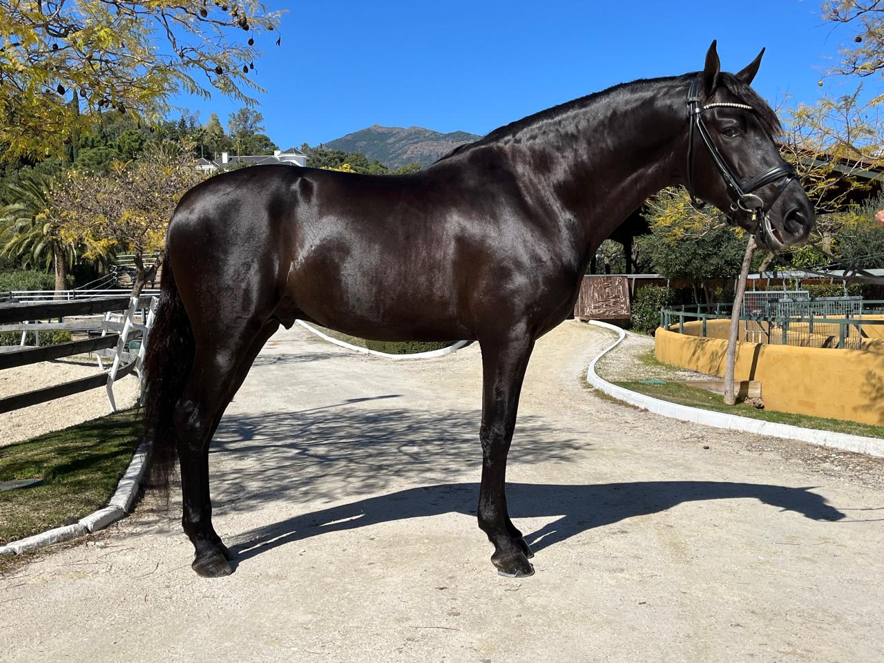 WhatsApp Image 2026-03-21 at 21.02.41.jpeg