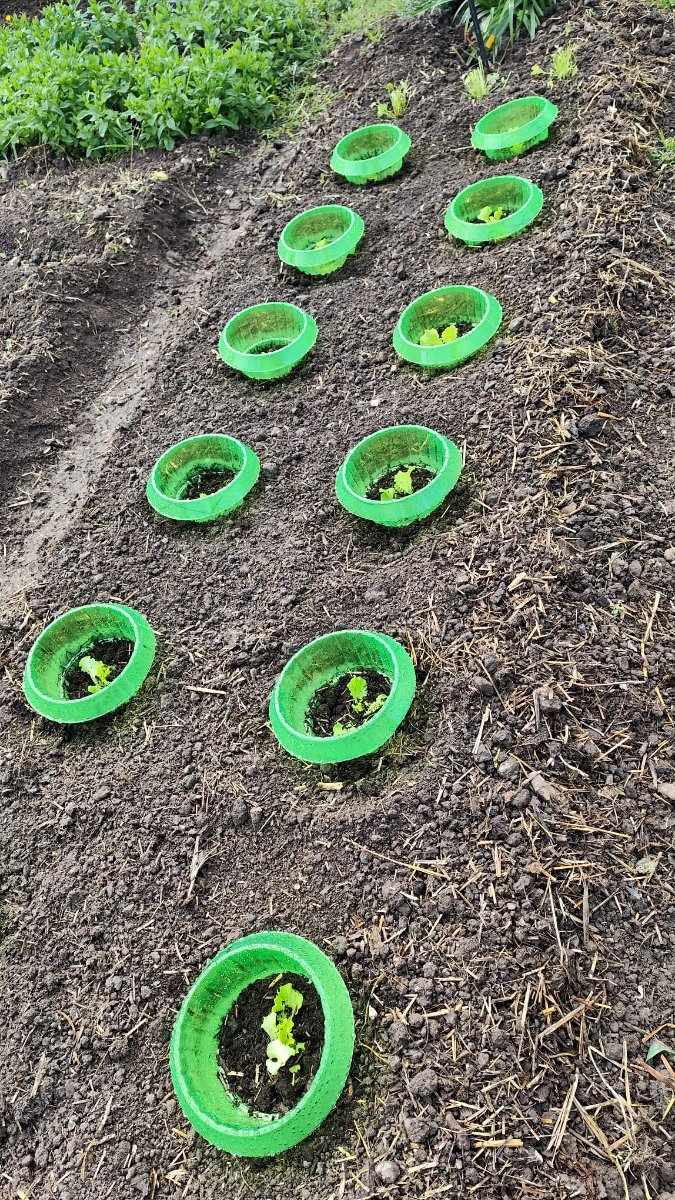 WhatsApp Image 2026-04-13 at 13.36.14.jpeg