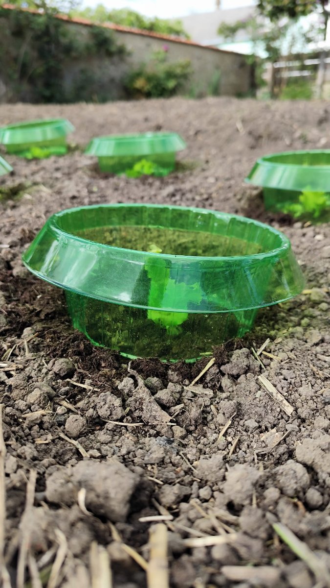 WhatsApp Image 2026-04-13 at 16.56.13.jpeg