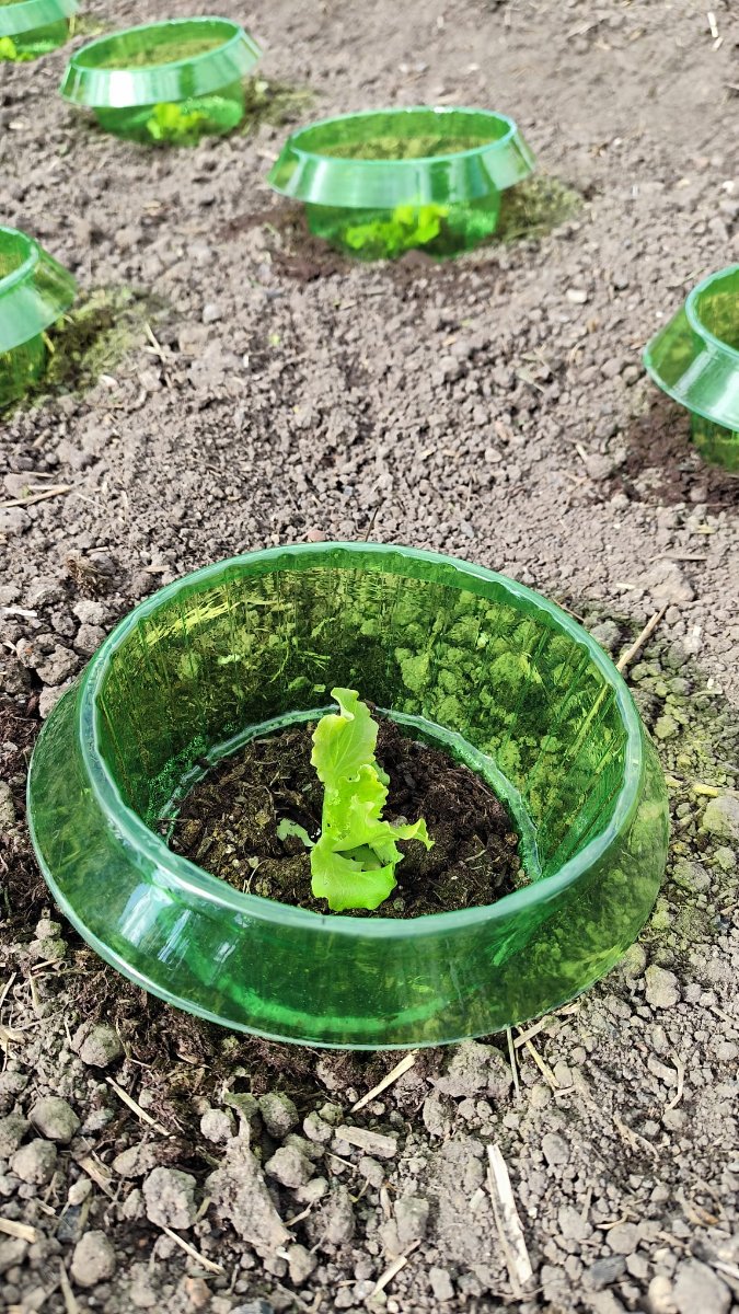 WhatsApp Image 2026-04-13 at 16.56.14.jpeg