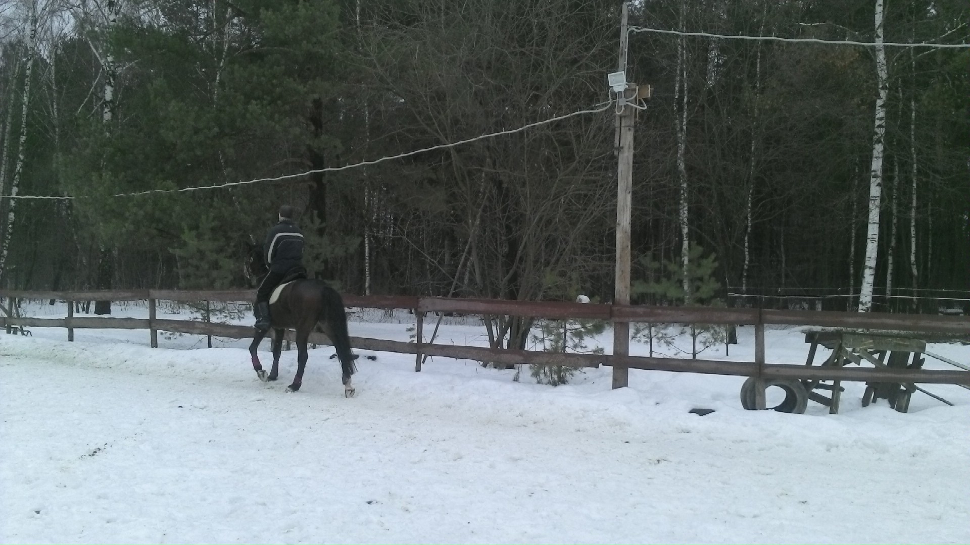 WIN_20150115_135502.JPG