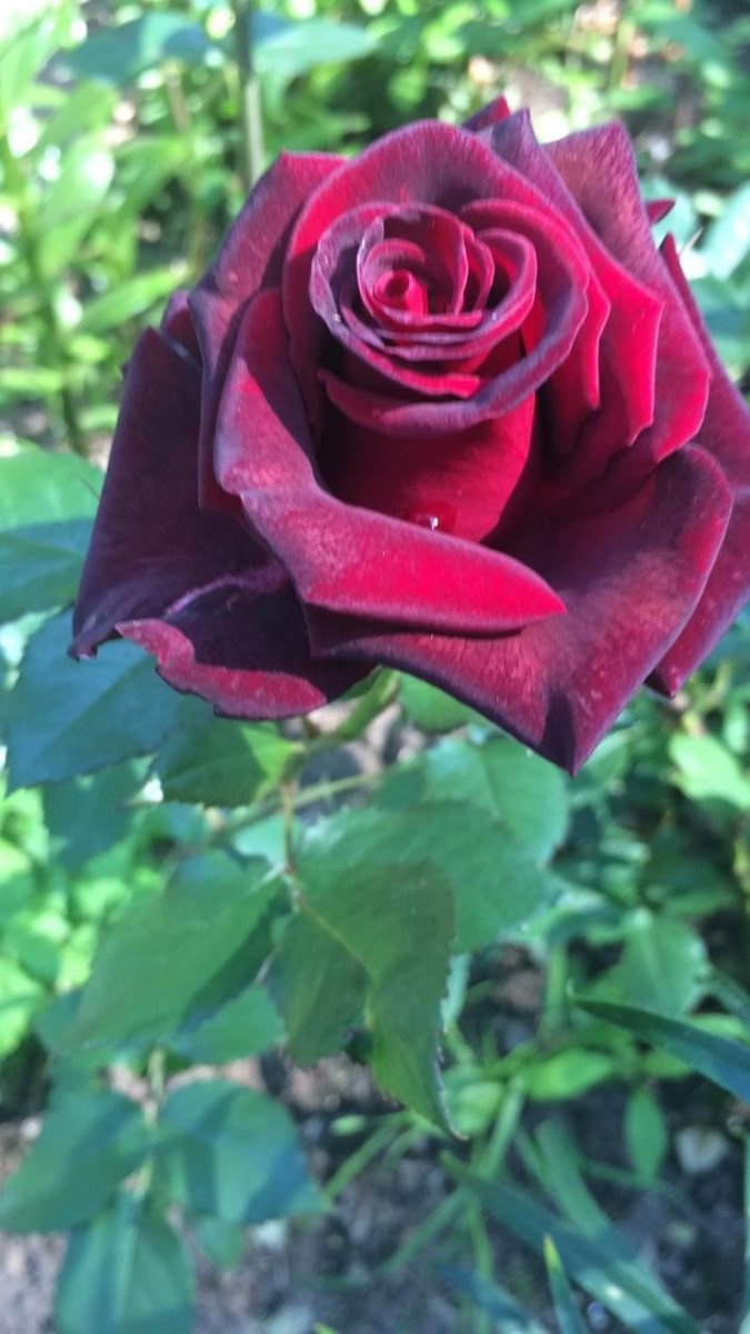 wLWp_aevpJp2C5lKcnJMsLrX0SiiM4XvKZsvePT3-jyLrh9Wph6gULWBGPckJ6xPyyBdAZy5HfGC0AHKp1QpGuC5.jpg