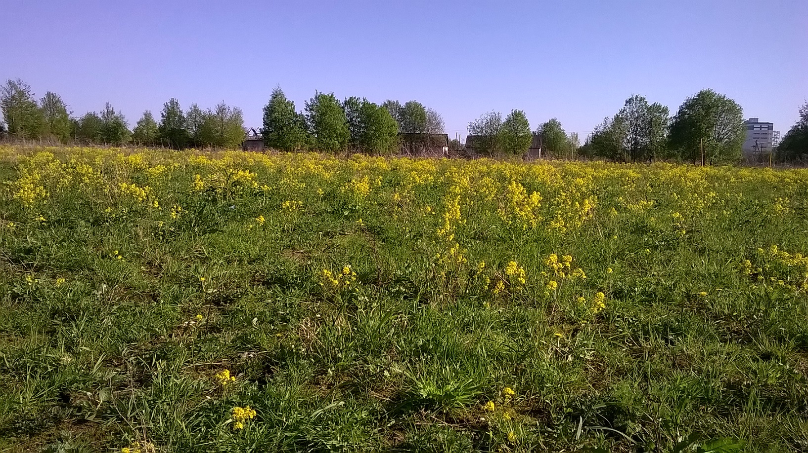 WP_20160515_17_16_45_Pro.jpg