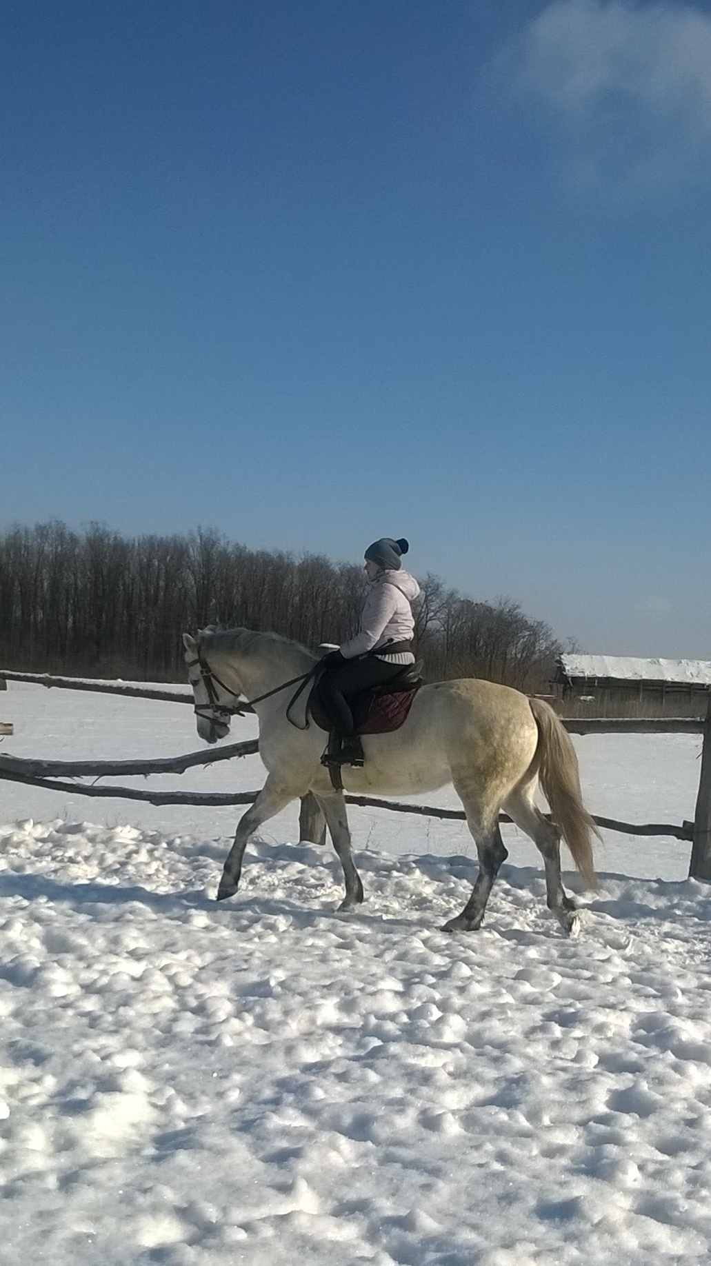 wp_20170128_11_36_23_pro.jpg