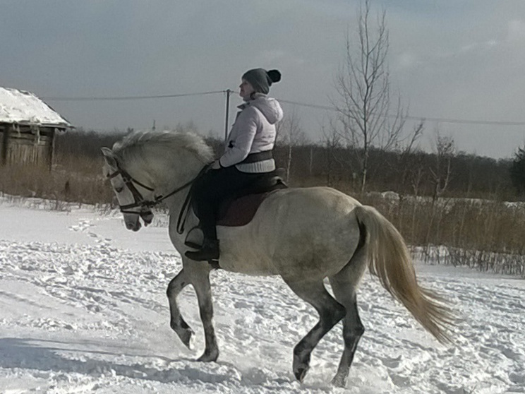 wp_20170128_12_36_00_pro.jpg