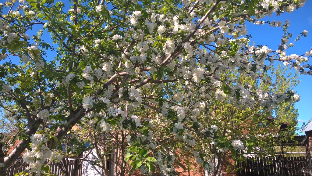 WP_20170513_17_42_12_Pro.jpg WP_20170513_17_42_12_Pro.jpg