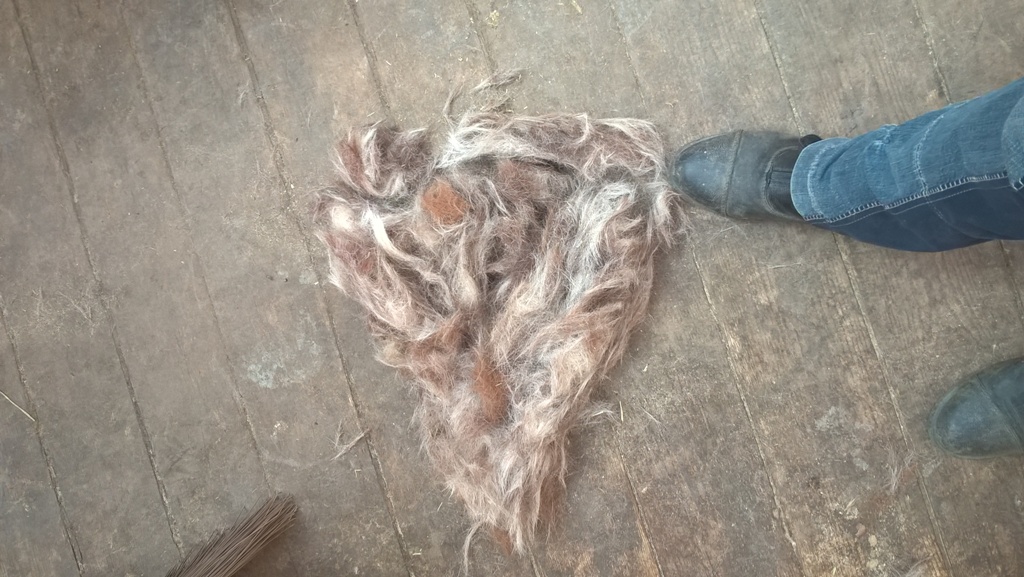 WP_20170514_14_19_19_Pro.jpg WP_20170514_14_19_19_Pro.jpg