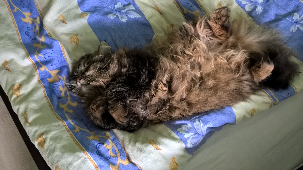 WP_20170515_15_31_32_Pro.jpg WP_20170515_15_31_32_Pro.jpg