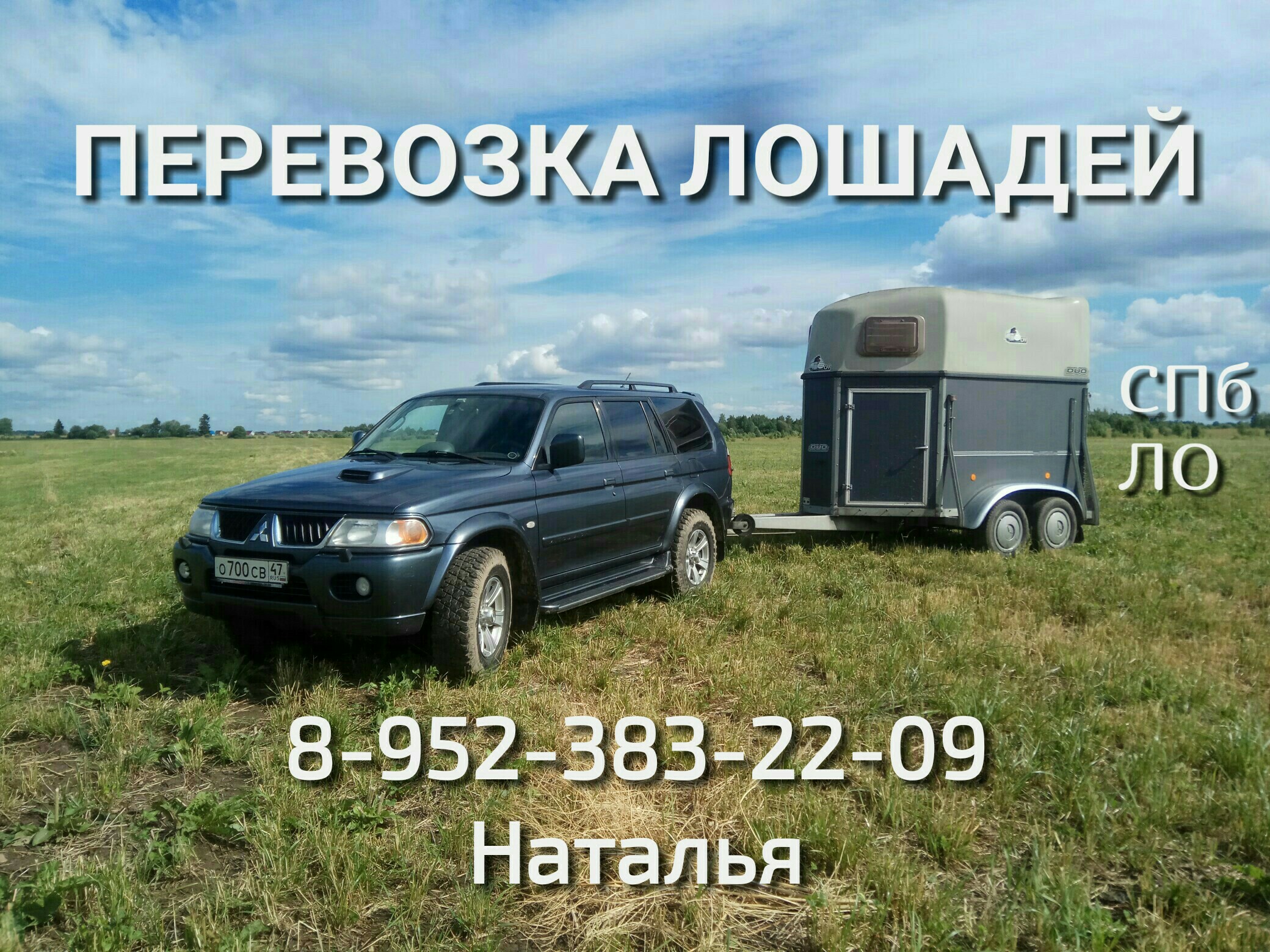 x5Vmpe6qM04.jpg