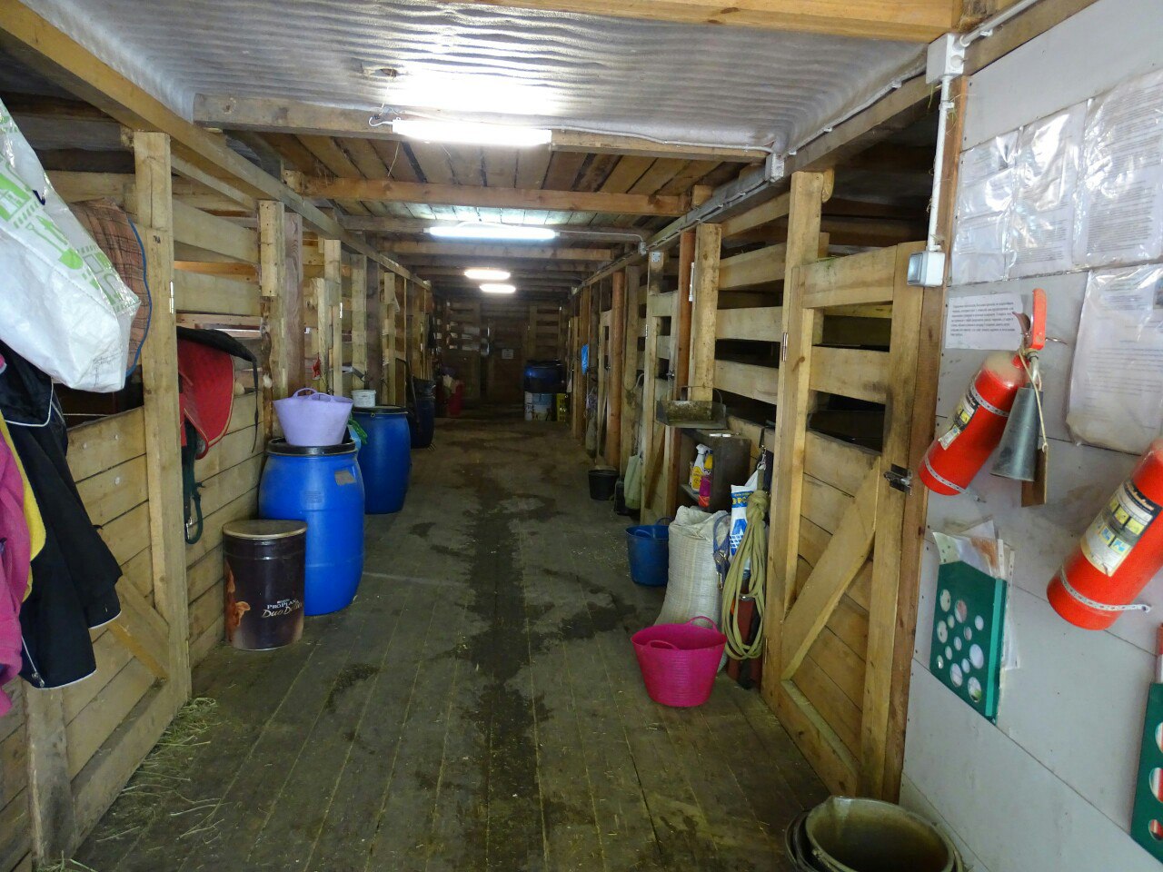 x_1a804c90.jpg