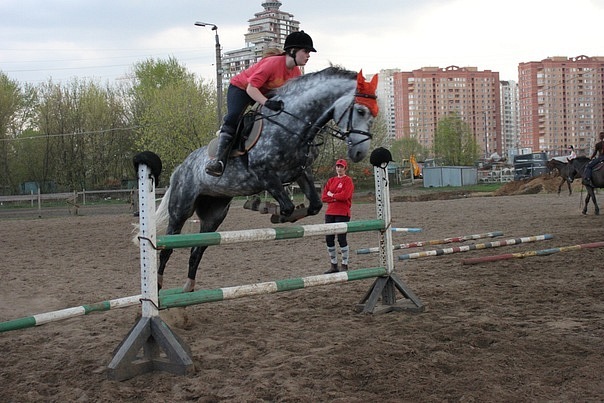 x_9d5d9920.jpg