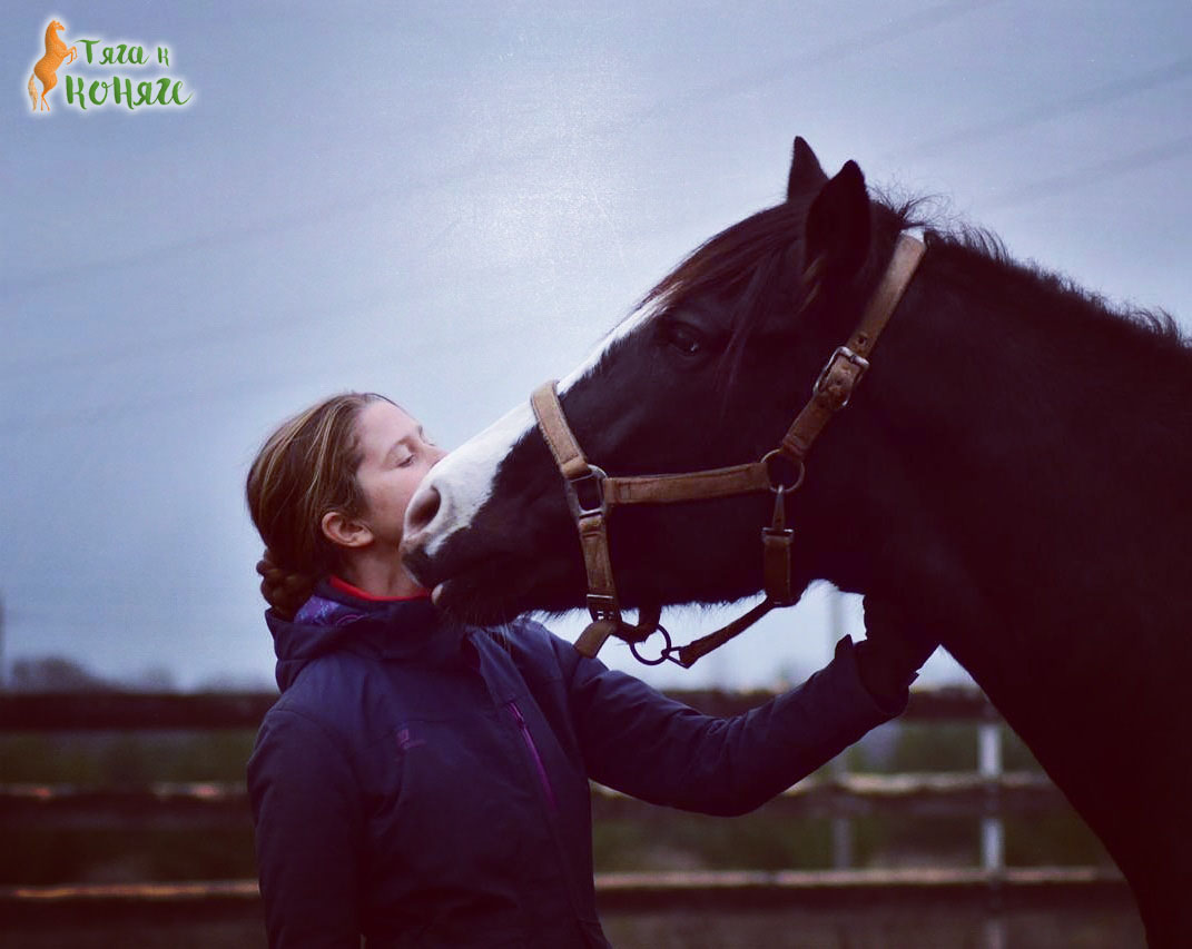 xh0tygkhxdg-jpg.388595