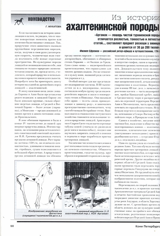 y_6317feea.jpg