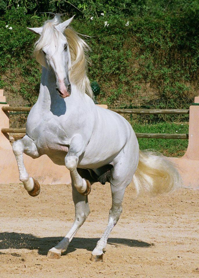 еврей1.jpg