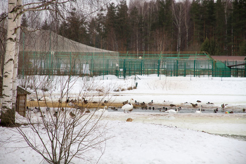 Z_0936.jpg
