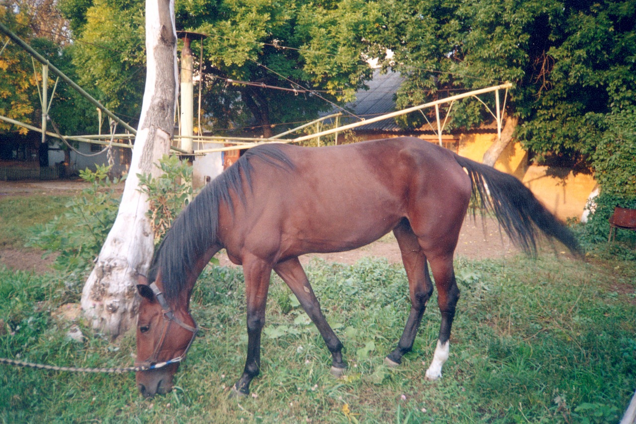 z_5ea0b384.jpg