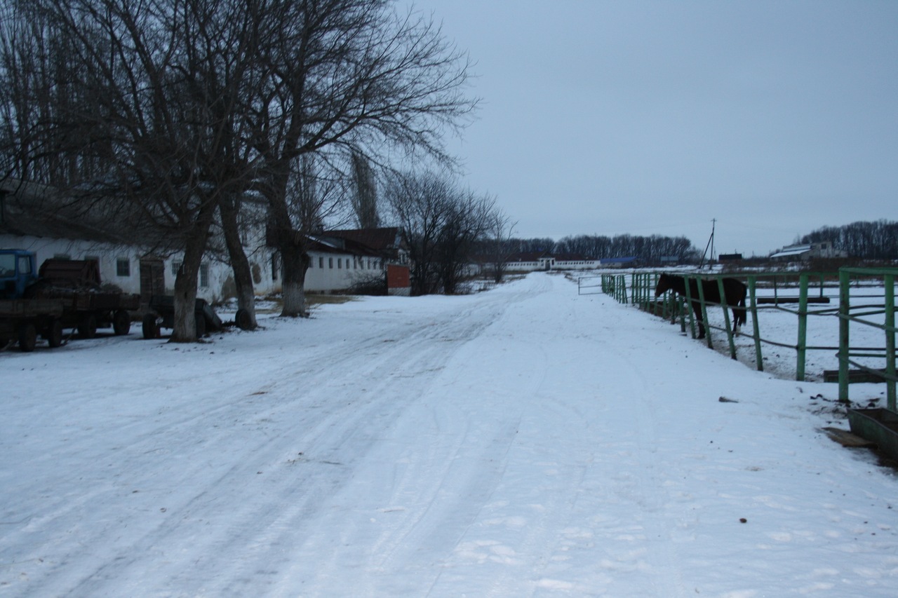 z_6b042040.jpg
