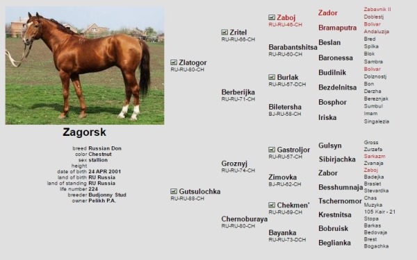 zagorsk-jpg.266207