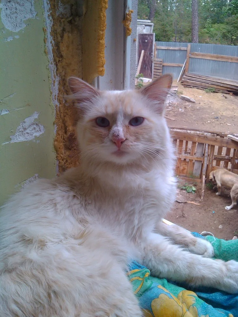 zEbaRshE1lI.webp