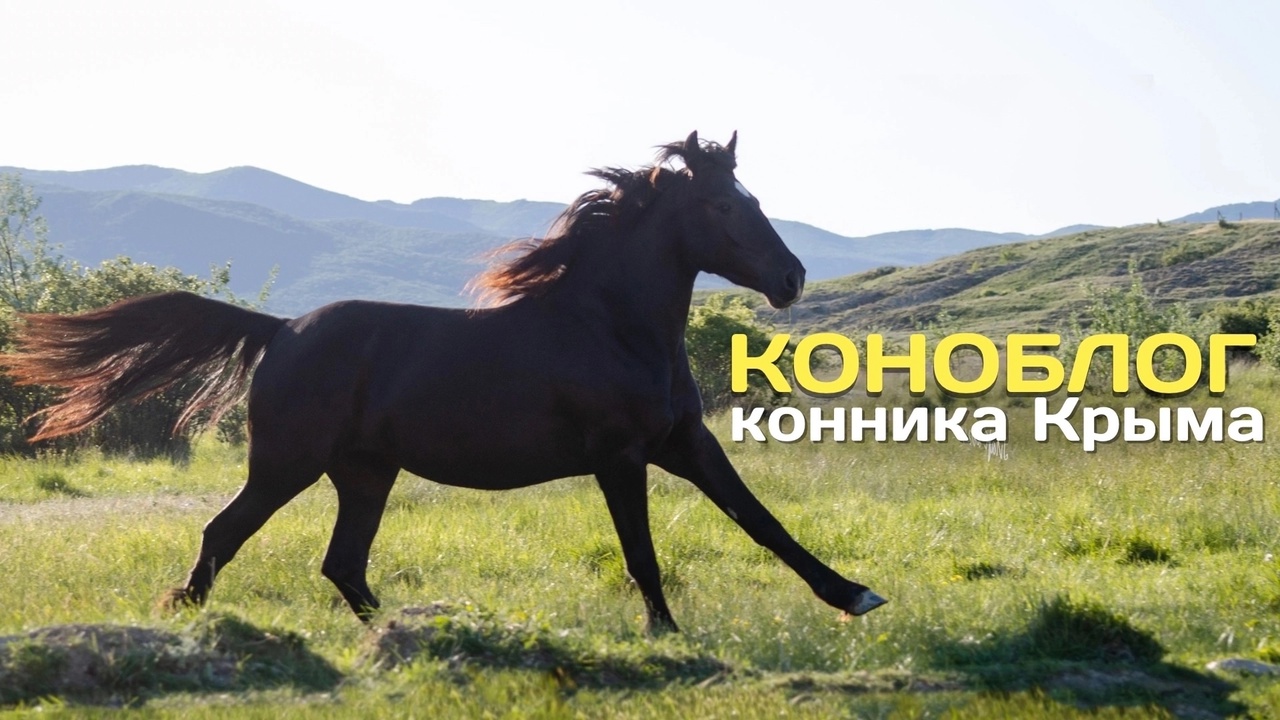 ZfeB8aXOk40.jpg