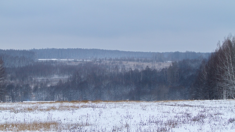 Зима0063.jpg
