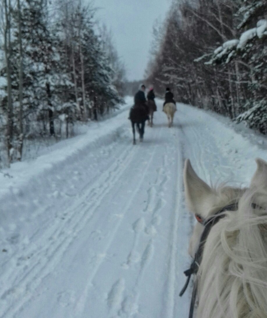 зимние дорожки.jpg