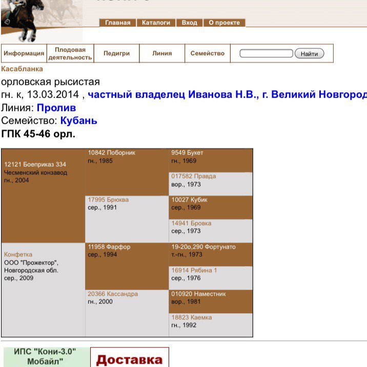 ZjTAkThu5cQ.jpg