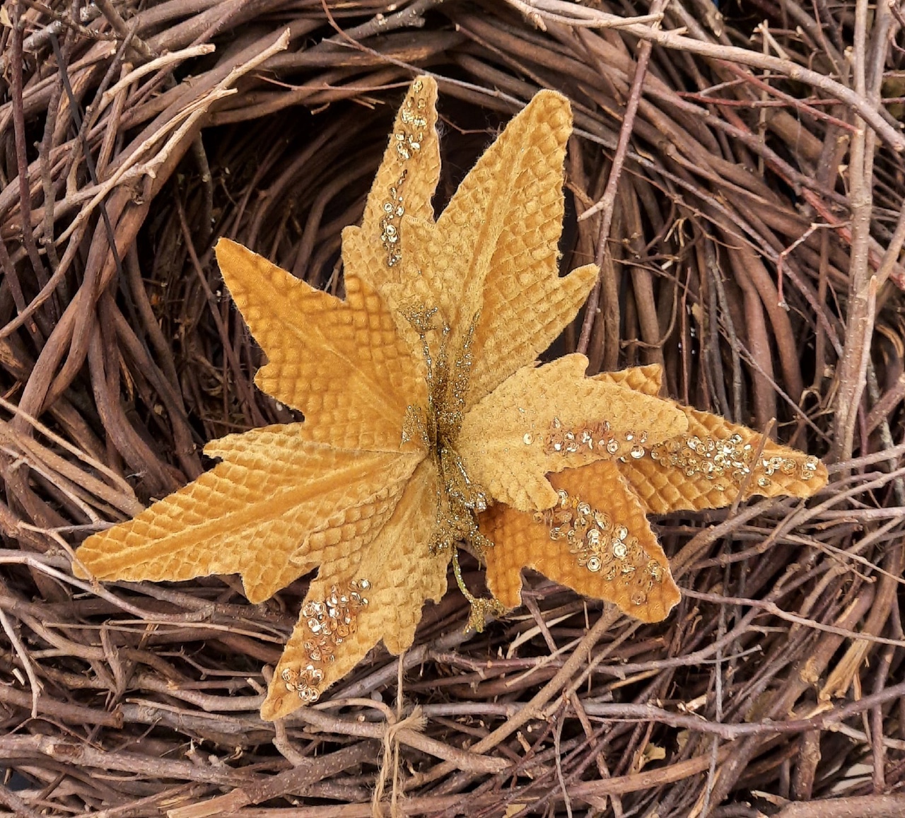 золотая пуансеттия.jpg