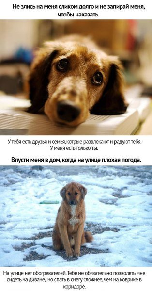 ZZqdZkGuaNI.jpg