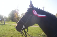 100_4925.webp