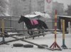 DSC02873.jpg