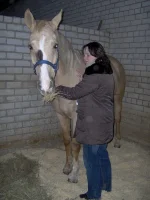 HPIM1409a.webp