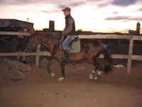 003.webp